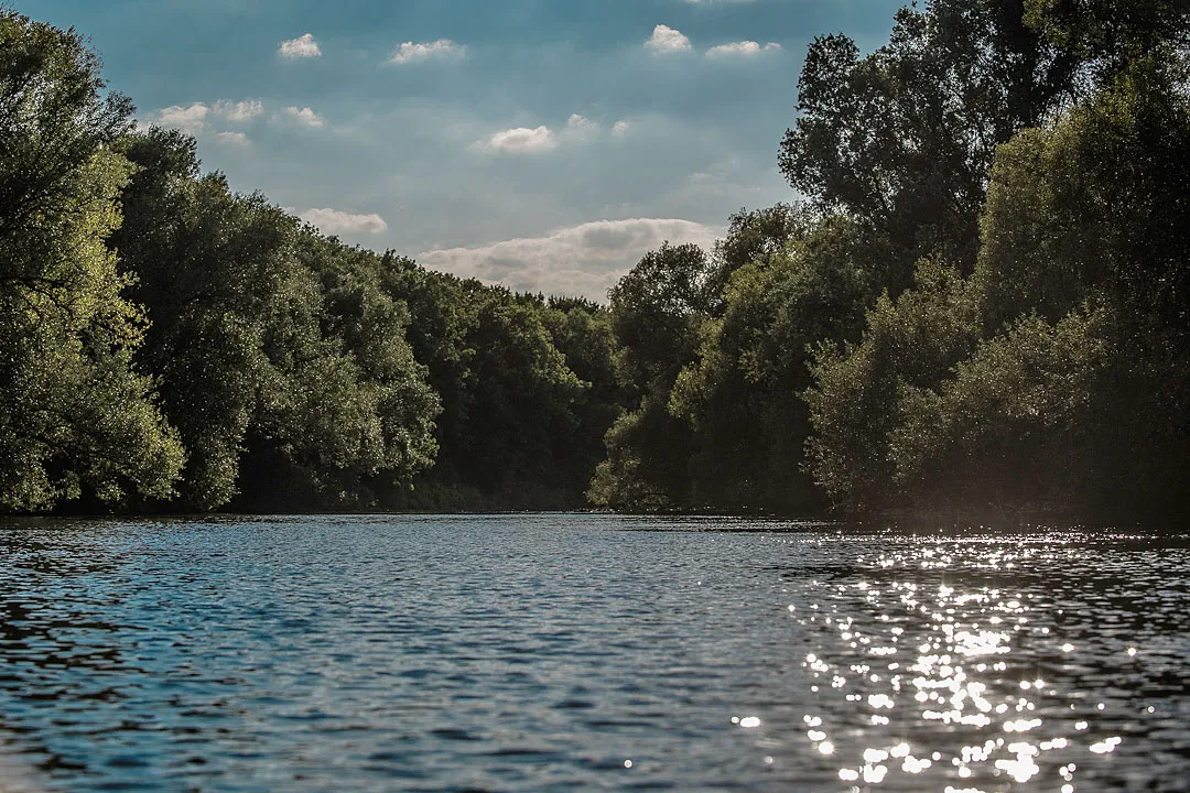 Blick auf die Lippe bei sonnigem Wetter mit grünen Bäumen im Hintergrund – aufgenommen auf einer Kajaktour von Dorsten nach Schermbeck